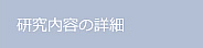 研究内容の詳細